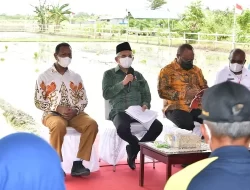 Tinjau Kampung Semangga Jaya Merauke, Wapres Ma’ruf Amin Dengarkan Aspirasi Petani