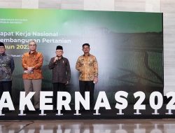 Hadapi Krisis, Wapres Ma’ruf Amin Perintahkan Kementan Fokus Pada Pengembangan Target Produksi Pangan