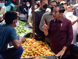 Presiden Joko Widodo Cek Harga Sembako di Pasar Airmadidi Minahasa Utara