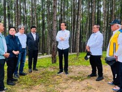 Hari Ketiga di Kaltim, Presiden Joko Widodo Awali Hari Nikmati Suasana Pagi di IKN