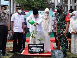 Lestarikan Kekayaan Alam Sumatera, Wapres Ma’ruf Amin Tanam Bibit Pohon Kapur Barus