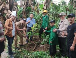 Indah Kiat Tangerang Tanam Puluhan Pohon Sukun dan Beringin Loa di Bantaran Sungai Cisadane