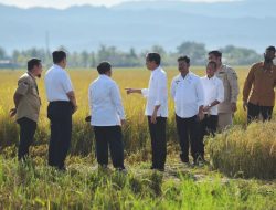 Presiden Joko Widodo Tinjau Gudang Bulog Batangase di Maros
