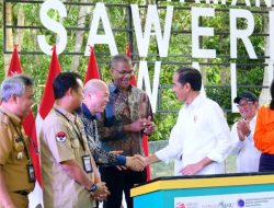Presiden Joko Widodo Harap Kerja Sama Internasional di Luwu Timur Tingkatkan Ekonomi Sulsel