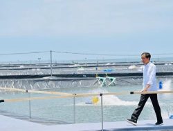 Resmikan Tambak Budidaya Udang di Kebumen, Presiden Joko Widodo: Bisa Dicontoh di Daerah Lain