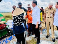 Pemerintah Segera Umumkan HPP Gabah Terbaru