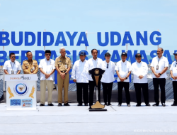 Presiden Joko Widodo Resmikan Tambak Budidaya Udang Berbasis Kawasan di Kebumen