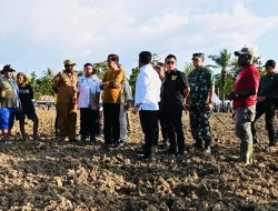 Presiden Joko Widodo Tinjau Food Estate di Keerom Papua