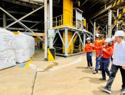 Presiden Joko Widodo Tinjau Kawasan Tambang dan Smelter di Luwu Timur