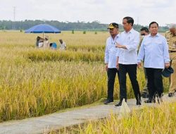 Presiden Joko Widodo Minta Badan Pangan Nasional Hitung Harga Gabah Kering Petani