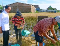Presiden Joko Widodo: Surplus Panen Bisa untuk Daerah Lain