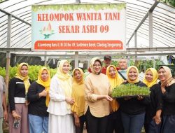 Airin Rachmi Diany Dorong Emak-emak Manfaatkan Lahan Sempit untuk Hidroponik