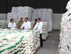 Penyaluran Cadangan Beras Pemerintah untuk Bantuan Pangan Tahun 2023