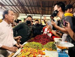 Presiden Joko Widodo Tekankan Pentingnya Jaga Pasokan Pangan