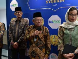 Pilot Susi Air Masih Disandera KKB, Wapres Ma’ruf Amin Pastikan Pemerintah Terus Lakukan Operasi Penyelamatan