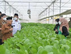 Percepatan Penanganan Papua, Wapres Ma’ruf Amin Dorong Evaluasi dan Fokus Pendekatan Komprehensif
