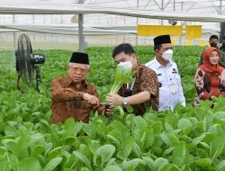 Wapres Ma’ruf Amin Ajak Diaspora Muda Gunakan Hak Pilih pada Pemilu 2024