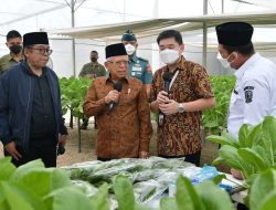 Wapres Ma’ruf Amin Minta Batamindo Green Farm Bantu Masyarakat Sekitar Kembangkan Budidaya Pertanian dengan Plasma Farming (Pertanian Plasma)