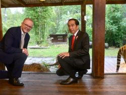 Kunjungan Presiden Joko Widodo dan PM Albanese ke Sumatran Village