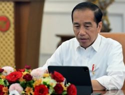 Presiden Joko Widodo Pimpin Ratas Bahas Dampak Implementasi EUDR