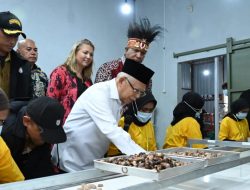 Tinjau Rumah Produksi Pengolahan Pala Tomandin Fakfak, Wapres Ma’ruf Amin Dukung Peningkatan Ekspor melalui Pala