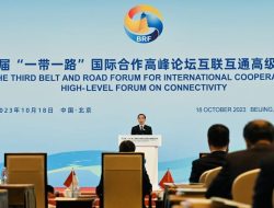 Presiden Jokowi Paparkan Empat Hal Penting dalam Pembangunan Konektivitas