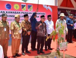 Resmikan KPN Sulteng, Wapres Ma’ruf Amin Minta Pengelolaan Harus Sesuai Kaidah Lingkungan dan Hukum