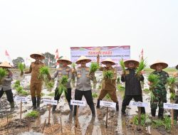 Wakapolri Panen dan Tanam Padi di Desa Penggalaman Kalsel Antisipasi El-Nino