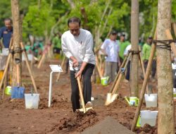 Tanam Pohon di Pulo Gadung, Presiden Joko Widodo: Atasi Polusi dan Antisipasi Perubahan Iklim