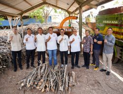 Kadin NTT Dukung Net Zero Emission Melalui Pengembangan Energi Hijau