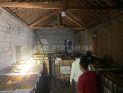 Pertamina Dukung Penuh Langkah Polda Jateng Ungkap Penimbunan BBM Bersubsidi di Wonogiri