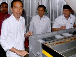 Presiden Jokowi Dorong Pengelolaan dan Penyaluran Hasil Laut di Biak Numfor