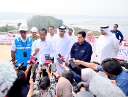 Presiden Jokowi: Keberadaan PLTS Dukung Industri Energi Hijau