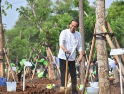 Tanam Pohon Serentak, Presiden Jokowi Tegaskan Langkah Nyata Atasi Perubahan Iklim
