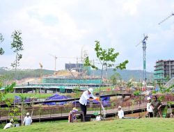 Presiden Joko Widodo Tinjau Miniatur Reforestrasi Hutan Tropis dan Lakukan Penanaman Pohon di IKN