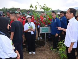 Presiden Joko Widodo Tegaskan Pentingnya Pemantauan Perkembangan Proyek di IKN