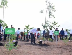 Presiden Joko Widodo: Penghijauan di IKN untuk Bangun Hutan Hujan Tropis Yang Beragam