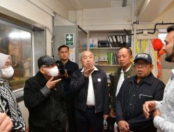 Pastikan Kehalalan Daging Sapi Selandia Baru, Wapres Ma’ruf Amin Tinjau Proses Sembelih di Pemotongan Hewan Wellington