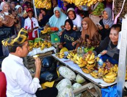 Kunjungi Pasar Laino Raha, Presiden Joko Widodo Disambut Masyarakat Muna