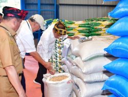 Presiden Joko Widodo Tinjau Stok Beras dan Bagikan Bantuan Pangan di Muna Sulawesi Tenggara