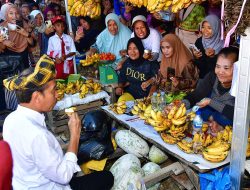 Kunjungi Pasar Laino Raha, Presiden Jokowi Disambut Lautan Masyarakat Muna