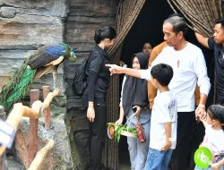 Akhir Pekan, Presiden Jokowi Ajak Cucu Kunjungi Solo Safari