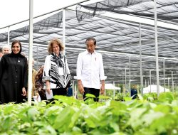 Kesan dan Apresiasi Para Duta Besar Terhadap Persemaian Mentawir