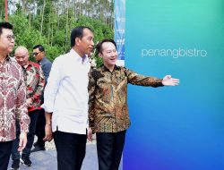 Presiden Jokowi Lakukan Groundbreaking PT Arena Graha Andalan di IKN