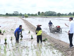 Respons Potensi Kekeringan Panjang, Presiden Tinjau Pompanisasi di Kotawaringin Timur