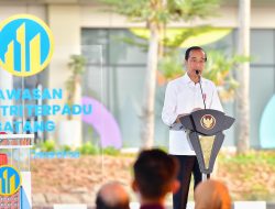 Presiden Jokowi Resmikan Operasional Kawasan Industri Terpadu Batang