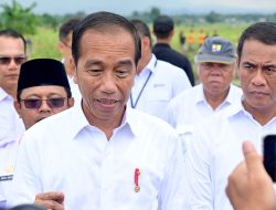Presiden Jokowi Sebut Potensi IKN Dongkrak Pertumbuhan Ekonomi Sektor Pertanian bagi Daerah Sekitar
