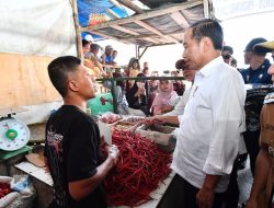 Presiden Jokowi Tinjau Pasar Kota Agung, Cek Harga dan Berikan Bantuan Modal Kerja