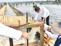 Presiden Jokowi Tinjau Pompanisasi di Lampung Selatan, Dorong Produktivitas Pertanian
