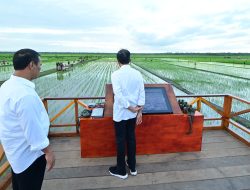Presiden Jokowi dan Ibu Iriana Tinjau Simulasi Drone Tabur Pupuk di Papua Selatan